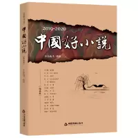 音像2019-2020中国好小说(短篇卷)小说选刊选 编著