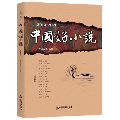 音像2019-2020中国好小说(短篇卷)小说选刊选 编著