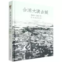 音像合浦大浪古城2019-2021年考古发掘报告