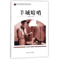 音像羊城暗哨编者:刘凤禄 著作 著