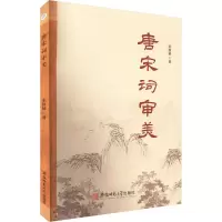 音像唐宋词审美宋秋敏