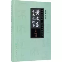 音像黄文东学术经验集胡鸿毅,柳文 主编