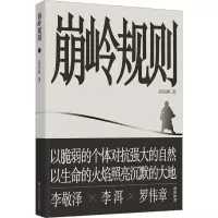 音像崩岭规则高旭帆