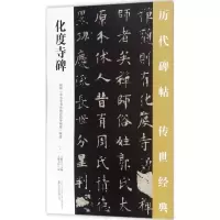 音像化度寺碑王鹏江 主编;大麓书院 编