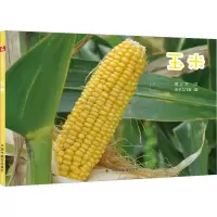 音像玉米郭之武