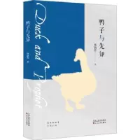 音像鸭子与先知林晓哲