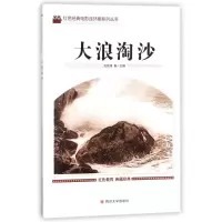 音像大浪淘沙编者:刘凤禄 著作 著