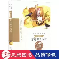 音像穿过那片竹林顾鹰