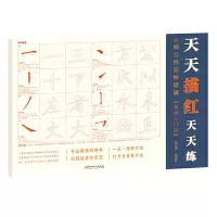 音像柳公权玄秘塔碑(基础入门篇)/天天描红天天练黄迪