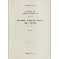 音像历史的阐述齐琨 著