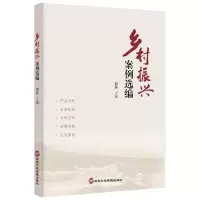 音像乡村振兴案例选编刘丹