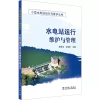 音像水电站运行维护与管理孙效伟,安绍军 主编