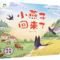 音像小燕子回来了 候鸟迁徙爱德少儿 编