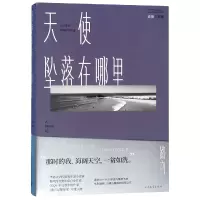 音像天使坠落在哪里/追随三部曲路内