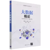 音像大数据概论/大数据技术与应用丛书高腾刚,程星晶