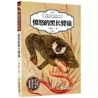 音像愤怒的黑长臂猿()马文秋