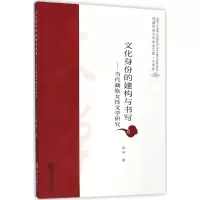 音像文化身份的建构与书写徐琴 著
