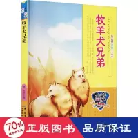 音像牧羊犬兄弟作者