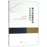 音像青少年犯罪评估系统回顾研究刘建宏