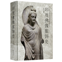 音像印度像服饰史费泳