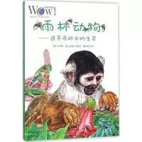 音像雨林动物(英)卡罗琳·富兰克林 著、绘;黄丹彤 译