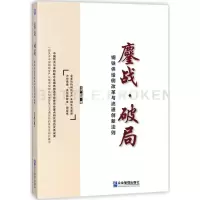音像鏖战·破局王京,赵颖 著