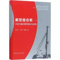 音像新型组合桩宋义仲 等 著