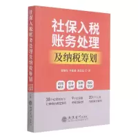 音像社保入税账务处理及纳税筹划翟继光,李亚雄