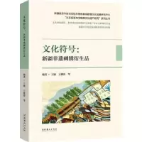 音像文化符号:新疆非遗刺绣衍生品王敏 王俊涛等
