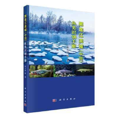 音像黑龙江流域(中国)鱼类识别手册赵文阁 等