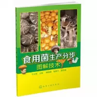 音像食用菌生产分步图解技术牛长满