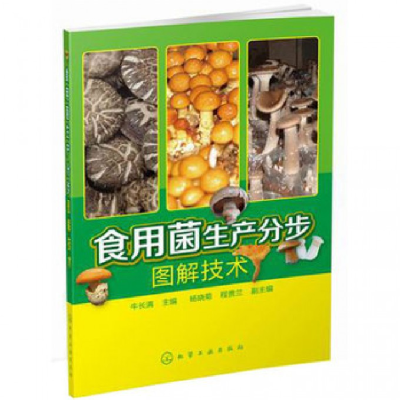 音像食用菌生产分步图解技术牛长满