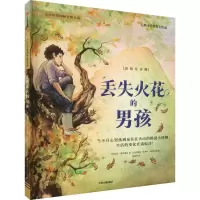 音像丢失火花的男孩 彩绘注音版(英)玛吉·奥法瑞尔
