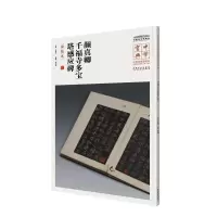 音像颜真卿千福寺多宝塔感应碑吕章申 主编