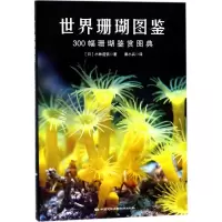 音像世界珊瑚图鉴(日)小林道信 著;秦小兵 译