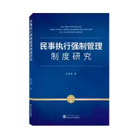 音像民事执行强制管理制度研究孙伟峰