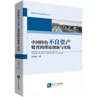 音像中国特色不良资产处置的理论创新与实践刘晓欣