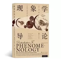音像现象学导论[美] 罗伯特·索科拉夫斯基 著 张建华 高秉江 译