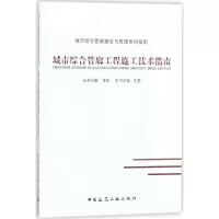 音像城市综合管廊工程施工技术指南沈勇 主编;胥东 丛书主编