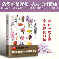 音像野花轻图鉴付彦荣主编;含章新实用编辑部凤凰含章出品