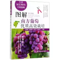 音像图解南方葡萄优质高效栽培石雪晖[等]主编