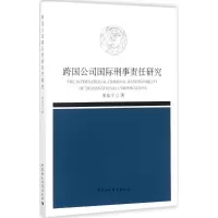 音像跨国公司国际刑事责任研究宋佳宁 著