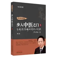 音像分部经络辨理论与实践毛以林