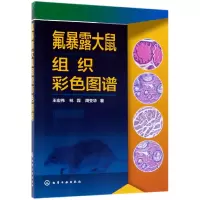 音像氟暴露大鼠组织彩色图谱王宏伟,林霖,周变华著