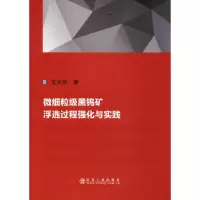 音像微细粒级黑钨矿浮选过程强化与实践艾光华 著