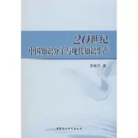 音像20世纪中国知识分子与现代知识生产苏桂宁 著