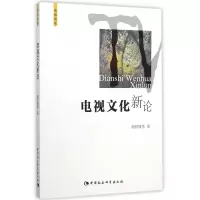 音像电视文化新论/电视论丛胡智锋