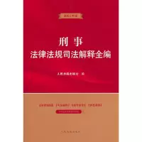 音像刑事法律法规司法解释全编出版社 著