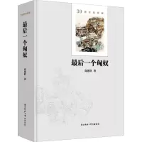 音像个匈奴 30周年纪念版高建群