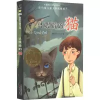 音像一只眼睛的猫(美)葆拉·福克斯